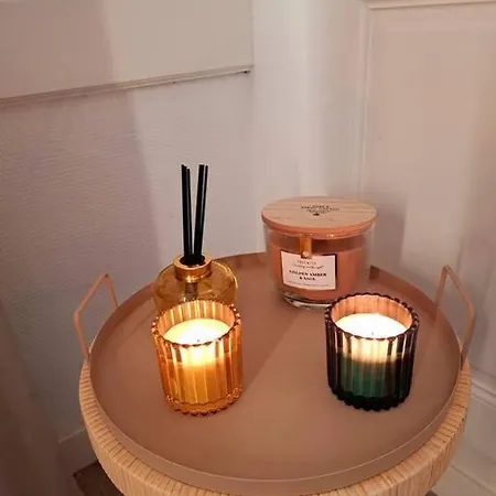 Duplex A Thiers, Vue Sur La Chaine Des Puys *