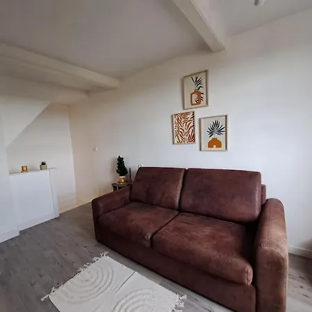 Duplex A Thiers, Vue Sur La Chaine Des Puys