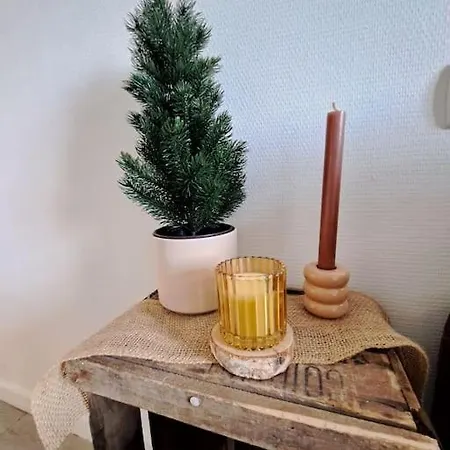 Duplex A Thiers, Vue Sur La Chaine Des Puys *